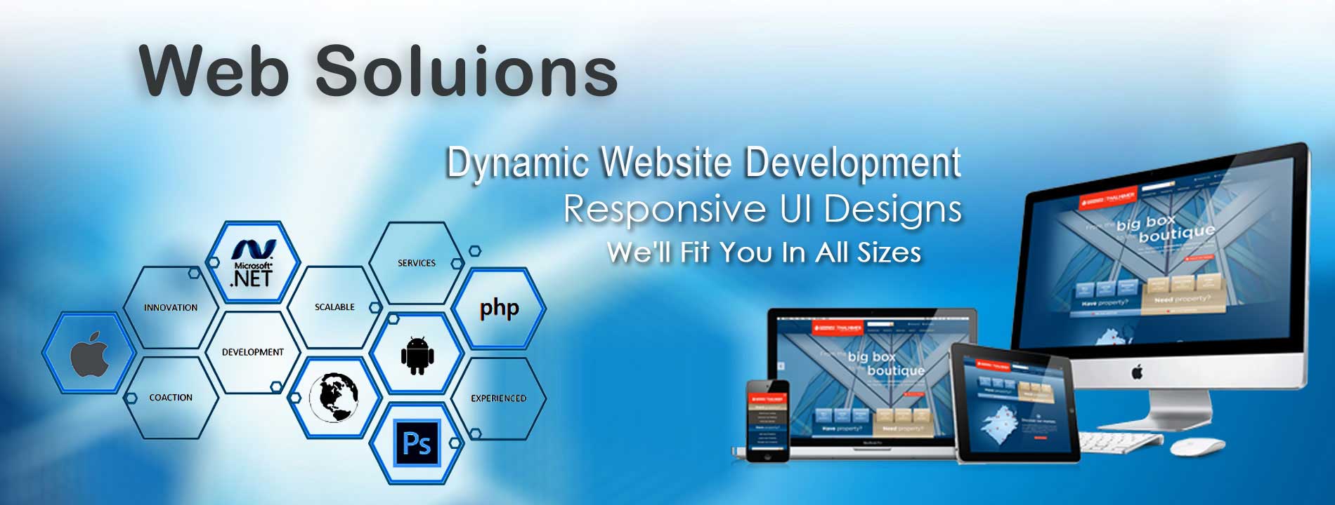 Web Designing Company in Delhi NCR